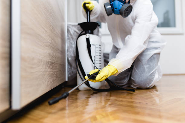Best Pest Control Near Me  in Lakeland, GA