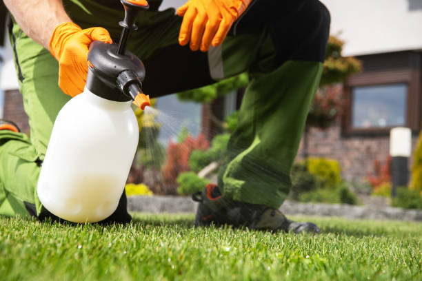 Best Spider Control Near Me  in Lakeland, GA