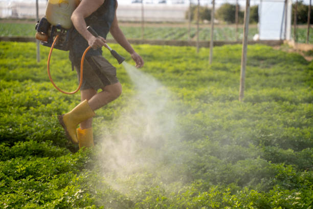 Best Pest Removal Services  in Lakeland, GA
