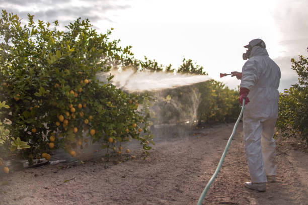 Professional Pest Control in Lakeland, GA
