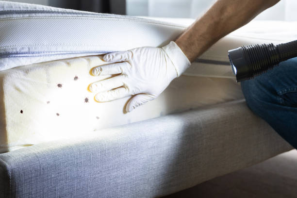 Best Emergency Pest Control  in Lakeland, GA