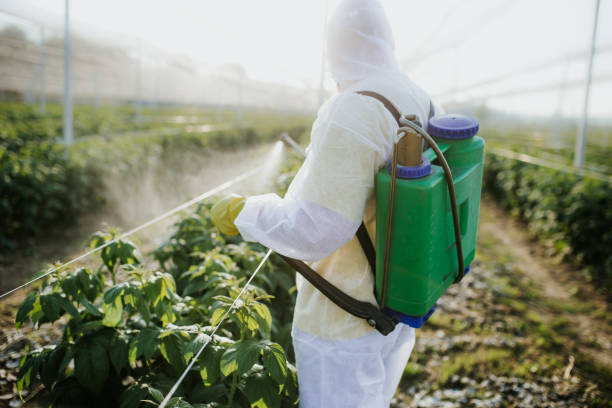 Best Best Pest Control Companies  in Lakeland, GA